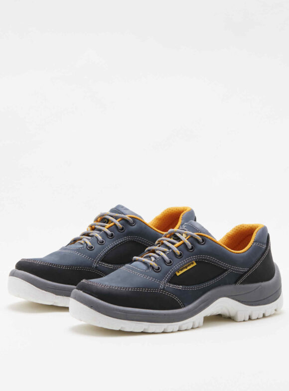 Zapato Bidensidad