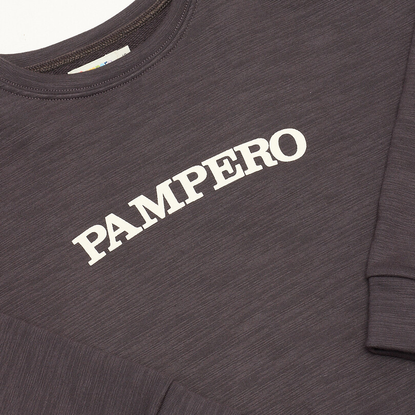Buzo Estampado Pampero - Imagen 2