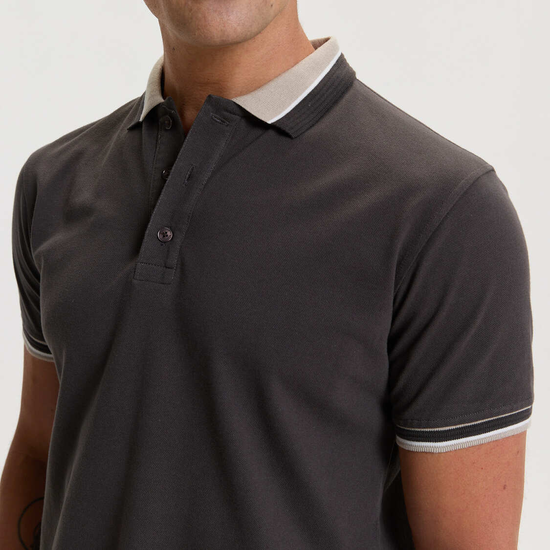 Polo Pehuen - Imagen 4